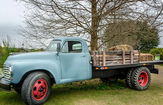 An old truck loaded with hay parked on grass, relevant to specialized cash for junk trucks.